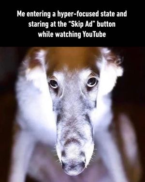Image post by @9gag on Instagram