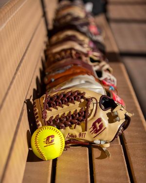 Image post by @cmichsoftball on Instagram