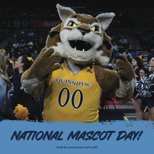 Image post by @qupepband on Instagram