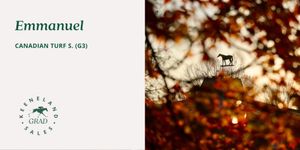 Image post by @keenelandsales on Twitter