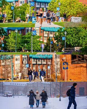 Image post by @marquetteu on Instagram