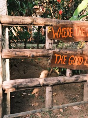 Image post by @benjaminalbuisson on Instagram