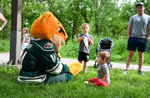 Image post by @IAWild on Twitter