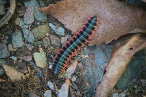 Image post by @iamjddavis on Instagram