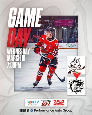 Image post by @ohlicedogs on Instagram