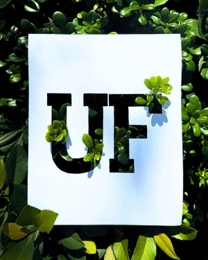 Image post by @ufadmissions on Instagram