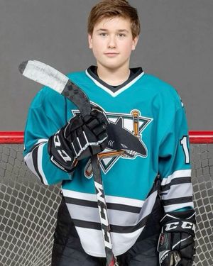 Image post by @prostockhockey on Instagram