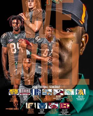 Image post by @famuathletics on Instagram