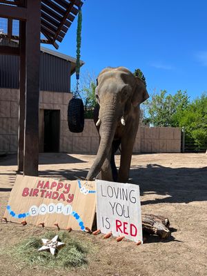 Image post by @denverzoo on Instagram
