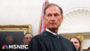 Video post by @msnbc on YouTube