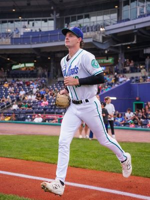 Image post by @hartfordyardgoats on Instagram