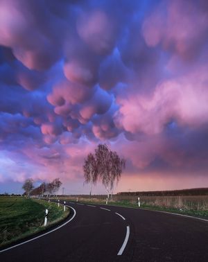 Image post by @fubiz on Instagram