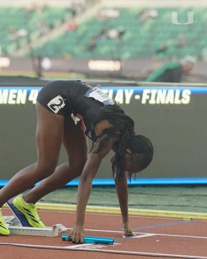Image post by @canestrack on Instagram