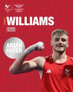 Image post by @team_wales on Instagram