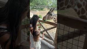 Video post by @happilyevansafterr on YouTube