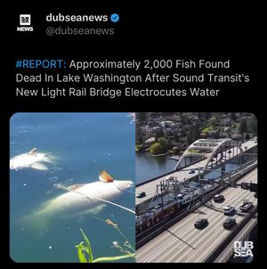 Image post by @dubseanews on Instagram