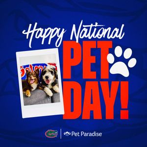 Image post by @FLGatorsSP on Twitter