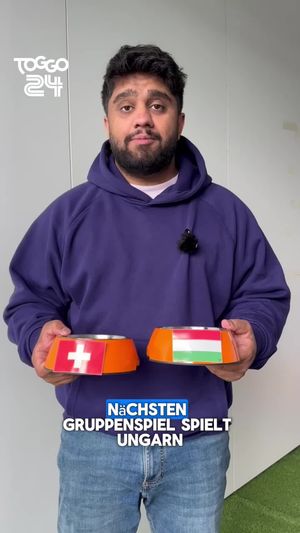 Video post by @toggo on TikTok