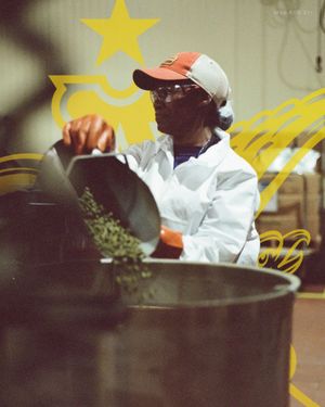 Image post by @anheuserbusch on Instagram