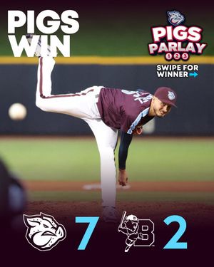Image post by @lhvironpigs on Instagram