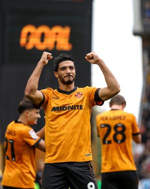 Image post by @wolves on Instagram