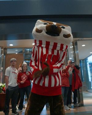 Image post by @badgermbb on Instagram