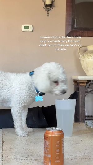 Video post by @delayneerodriguezz on TikTok