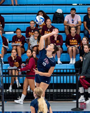 Image post by @FDUKnightsWVB on Twitter