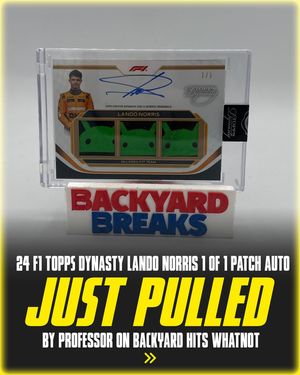 Image post by @backyardbreaks on Instagram