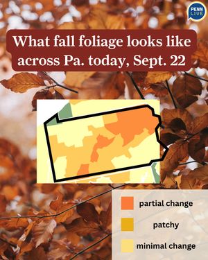 Image post by @pennlive on Instagram