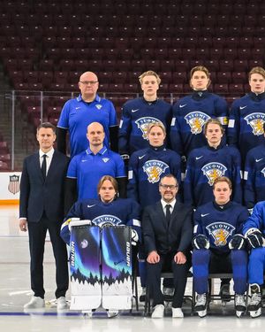 Image post by @leijonatfi on Instagram