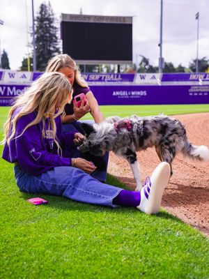 Image post by @uwsoftball on Instagram