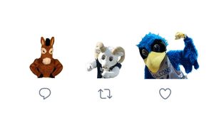 Image post by @AF_TheBird on Twitter