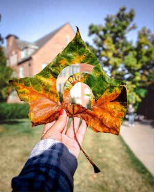 Image post by @michiganstateu on Instagram