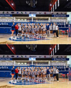 Image post by @fauvolleyball on Instagram