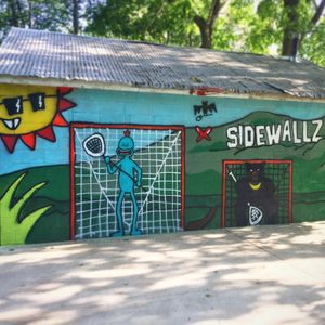Image post by @sidewallzlacrosse on Instagram
