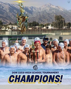 Image post by @beatlawstudio on Instagram