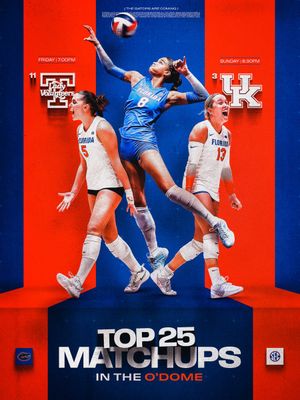 Image post by @GatorsVB on Twitter/X