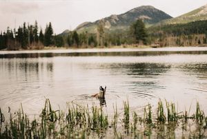Image post by @vickidombeck on Instagram