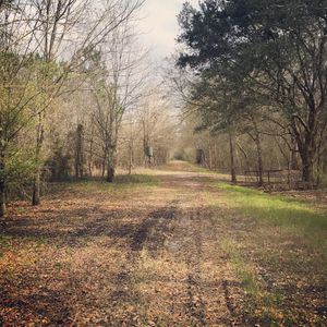 Image post by @jfinch27 on Instagram