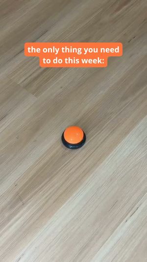 Video post by @absstats on Instagram