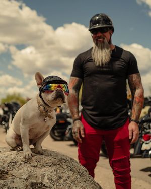Image post by @harleydavidson on Instagram