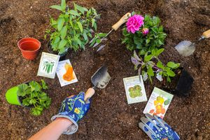 Image post by @rogersgardens on Instagram