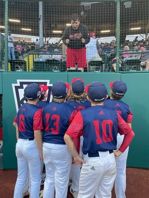Image post by @LittleLeague on Twitter