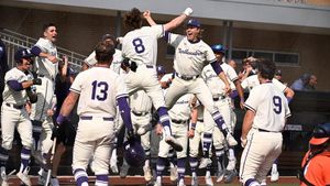 Image post by @barstoolcats on Instagram