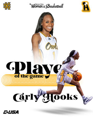 Image post by @ksuowlswbb on Instagram