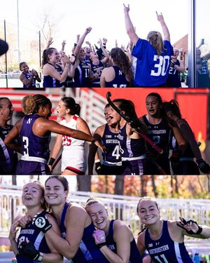 Image post by @nufhcats on Instagram