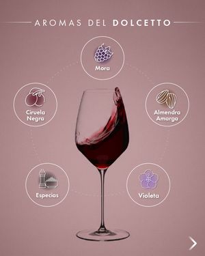 Image post by @riedelpartner_vnzla on Instagram