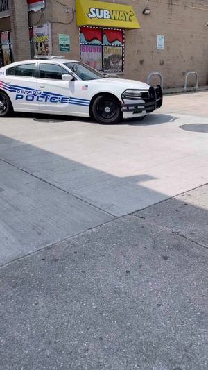 Video post by @DetroitGSD on Facebook