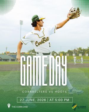 Image post by @normal_baseball on Instagram